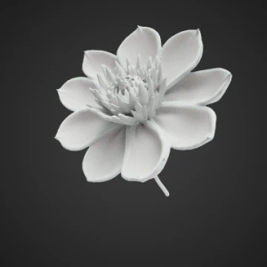 Gümüş Çiçək Pıçıltısı