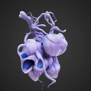 İlkin Çiçək Toplusu